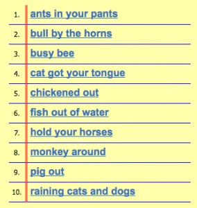 VocabularySpellingCity Animal Idioms