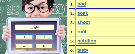 2nd Grade Spelling Words 2nd Grade Spelling Words
